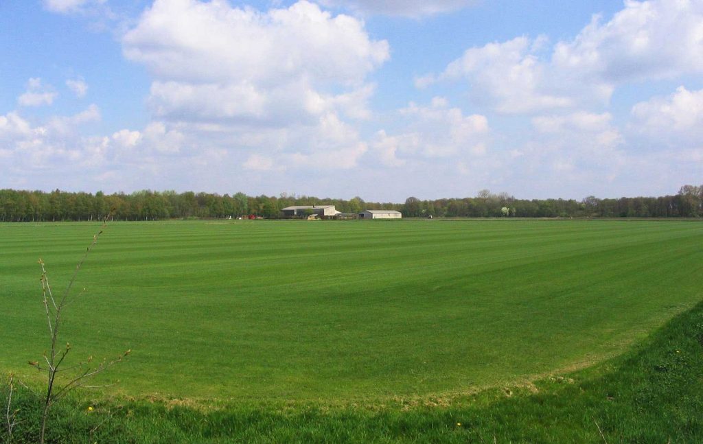 instalacion tepes de cesped natural